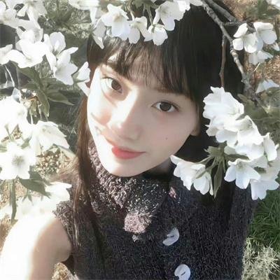 爵士丛林